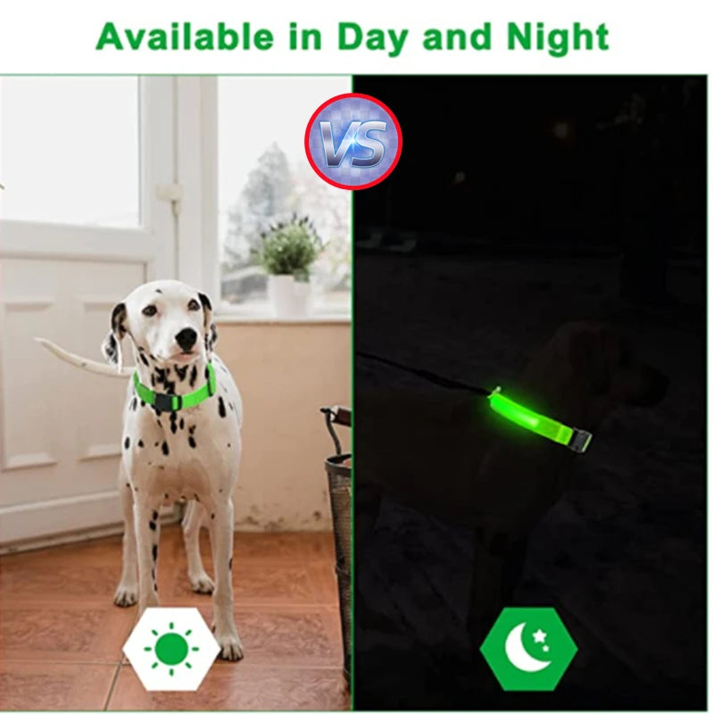 Usb Charging Glowing Dog Collar With Pendant Detachable Luxury Led Light Bright For Small Dogs Cat Night Safety Collar Wholesale Beauty World Shop