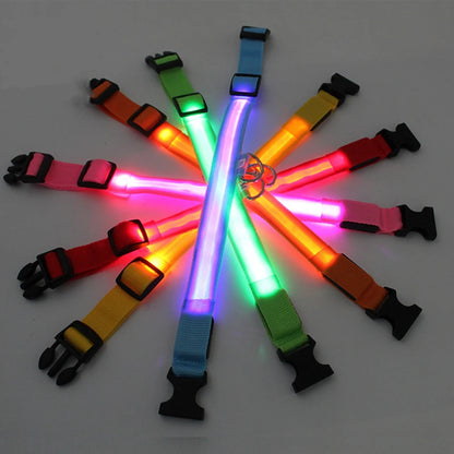 Usb Charging Glowing Dog Collar With Pendant Detachable Luxury Led Light Bright For Small Dogs Cat Night Safety Collar Wholesale Beauty World Shop