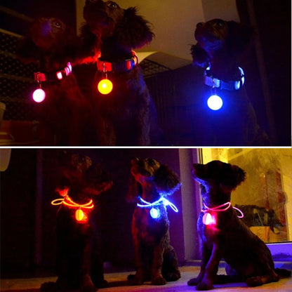 LED Glowing Pendant Flashlight Dog Cat Collar Pet Leads Glow  Accessories  Bright Necklace Luminous Collar  Night Safety Decor Beauty World Shop