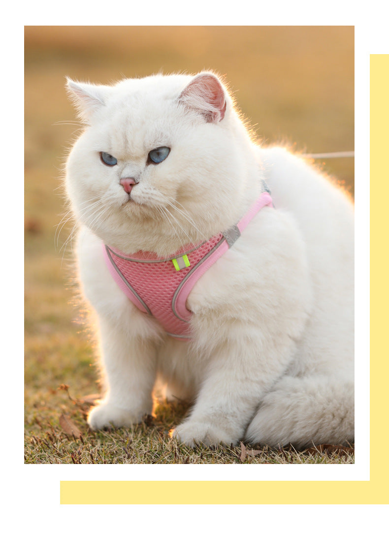 Cat Dog Harness Vest Chest Rope Set Reflective Breathable Adjustable Pet Harness for Small Medium Dogs Outdoor Walking Beauty World Shop