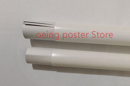 Customized matte white Art Paper poster anime game poster personalized character pet animal modern art painting decoration Beauty World Shop