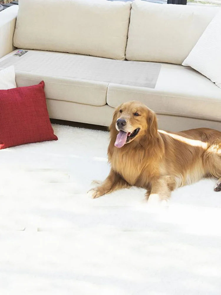 Pet Training Mat Electrostatic Isolation Blanket Cat Dog Repellent Mat  Prevent Pets Damage Protected Areas Pet Barrier Mat