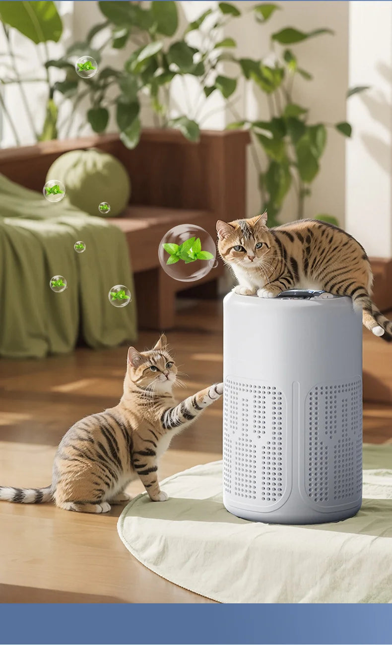 Mini Desktop Air Purifier HEPA Filter With Negative Ion Technology Eliminates Formaldehyde Odors Smoke And Dust Particles Beauty World Shop