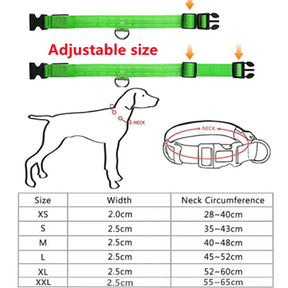 Usb Charging Glowing Dog Collar With Pendant Detachable Luxury Led Light Bright For Small Dogs Cat Night Safety Collar Wholesale Beauty World Shop