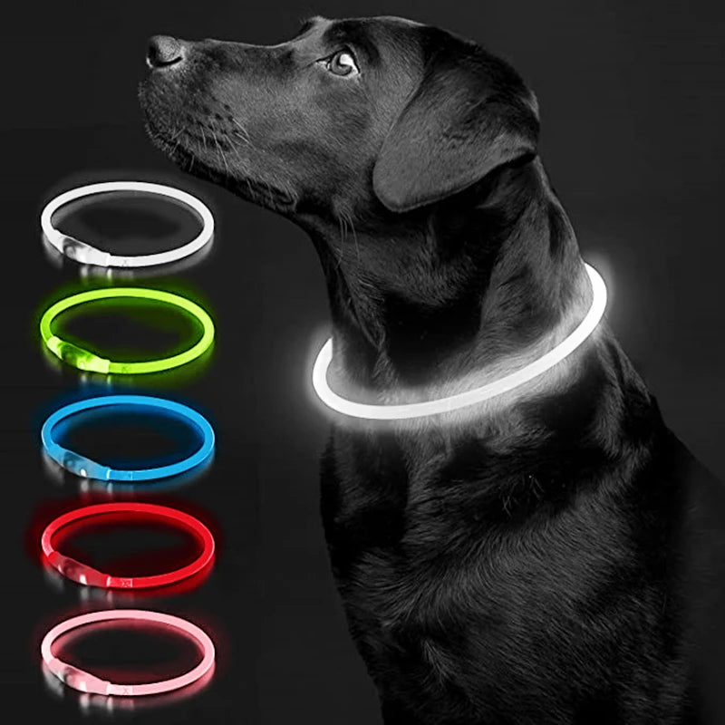 Luminous Dog Collar Light Charge Cat Necklace, Led Fashion Flashing DIY Glowing Safety Collar for Dogs Nighttime Pet Accessorie Beauty World Shop