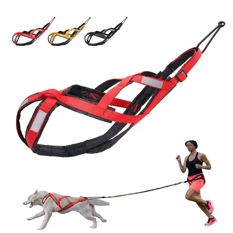 Dog Outdoor Sled Chest Strap Dog Weight Training Traction Strap Husky Samo Snowboard Traction Rope
