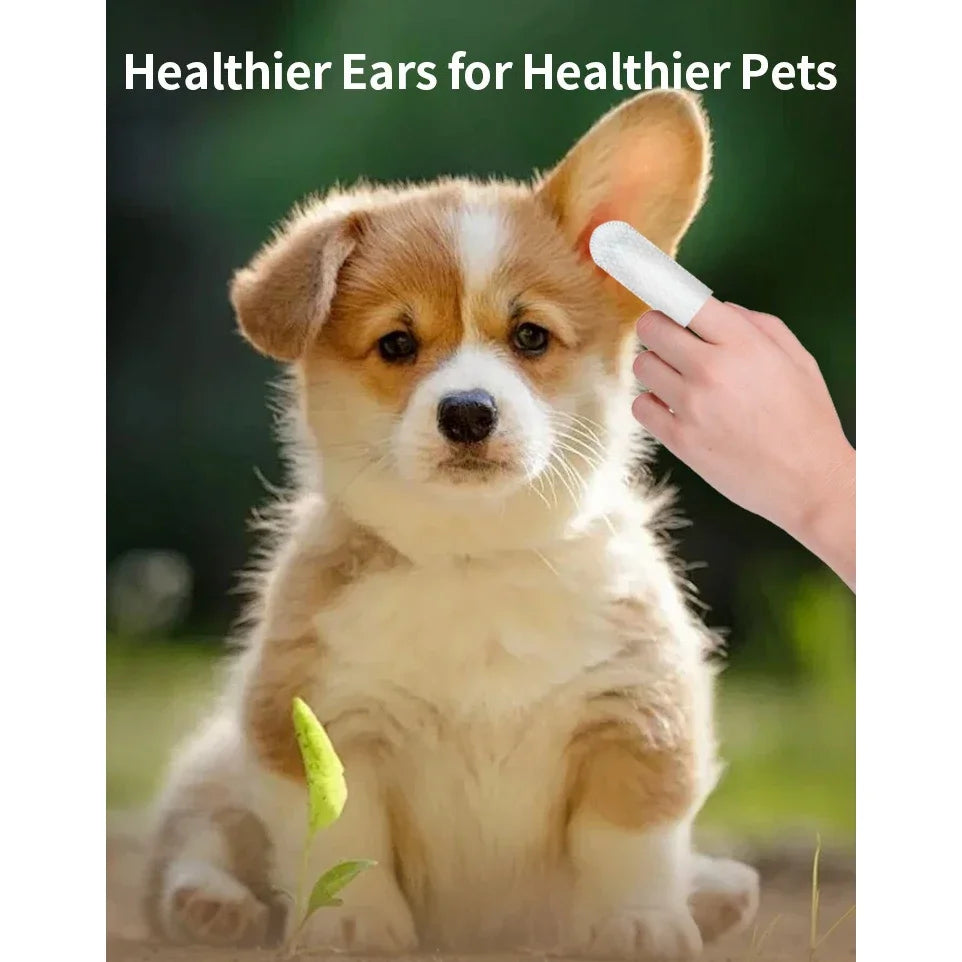 50 PCS Pet Cleaning Products  Ear Cleaning Wipes  Ear Care Fingertips  Ear Mite Removal  Cat and Dog Ear Cleaning Pet Products Beauty World Shop