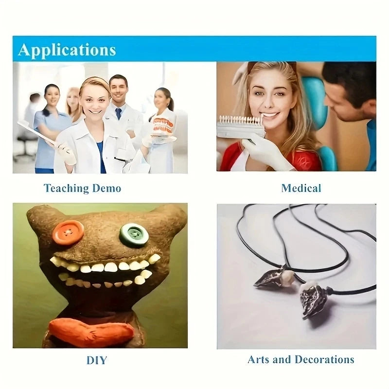 28pcs Dental Training Model Permanent Teeth Model Resin Denture Teeth Teaching Props Dentistry Technician Practice Beauty World Shop