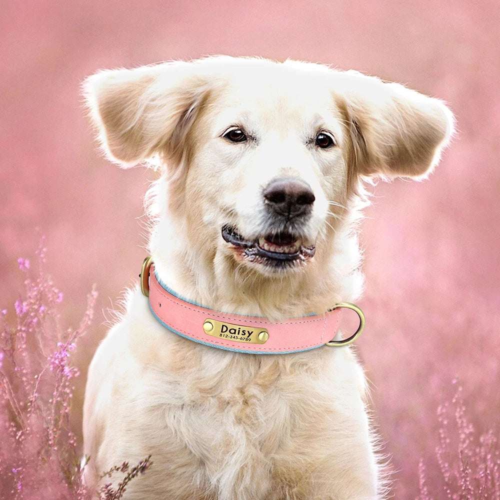 Customized PU Leather Nameplate Dog Collar Soft Padded Dogs Collars Free Engraving Name for Small Medium Large Dogs Adjustable Beauty World Shop