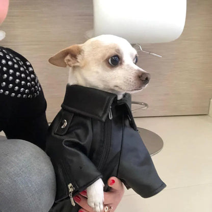Glorious Eagle Pattern Dog Coat PU Leather Jacket Soft Waterproof Outdoor Puppy Outerwear Fashion Clothes For Small Pet(XXS-XXL)