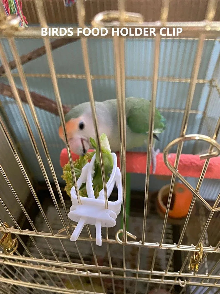 Cute Small Pet Bird Food Holder Parrot Fruits Vegetables Clip Cuttlefish Bone Feeder Device Clamp Bird Cage Accessories Oiseaux Beauty World Shop