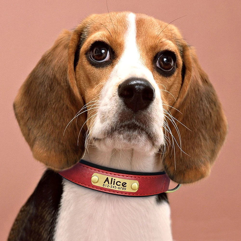 Customized PU Leather Nameplate Dog Collar Soft Padded Dogs Collars Free Engraving Name for Small Medium Large Dogs Adjustable Beauty World Shop