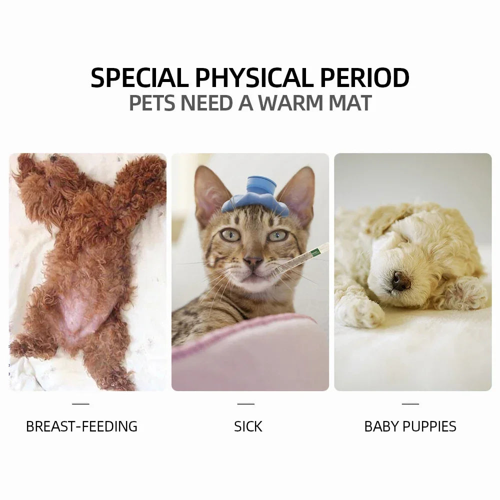 Winter Dog Bed Pet Dog Cat Heating Pad Indoor Warming Mat 45*45cm Waterproof Warmer Pet Mat Bed for Dogs Cats