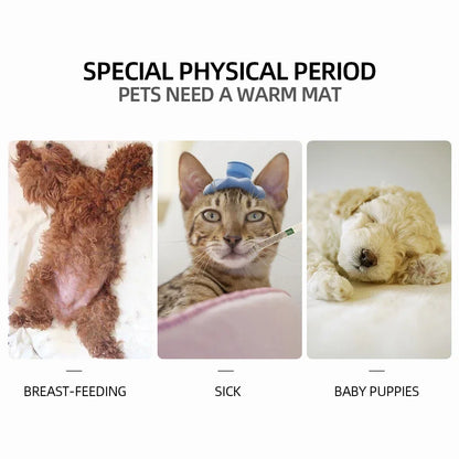 Winter Dog Bed Pet Dog Cat Heating Pad Indoor Warming Mat 45*45cm Waterproof Warmer Pet Mat Bed for Dogs Cats