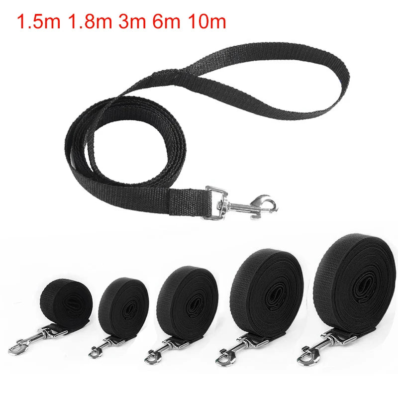 Long Strong Nylon Dog Leash 10m 15m 20m Pet Training Leash For Small Big Dogs Outdoor Walking Puppy Lead Rope Labrodor Supplies Beauty World Shop