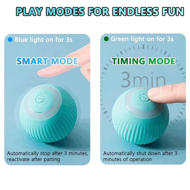 Spin Ball Things for Cats Toys Electric Interactive USB Charging Cat Ball Toy Cat and Dog Accessories Pet Cat's Supplies Home Beauty World Shop