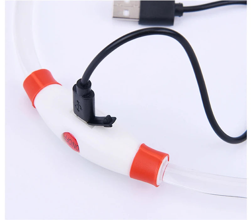 Luminous Dog Collar Light Charge Cat Necklace, Led Fashion Flashing DIY Glowing Safety Collar for Dogs Nighttime Pet Accessorie Beauty World Shop