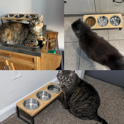 Elevated Cat Bowls with 3 Stainless Steel Bowls 15° Tilted Anti-Vomiting Raised Cat Food Bowl for Small Cats Puppies Accessories