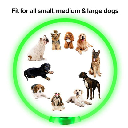 Luminous Dog Collar Light Charge Cat Necklace, Led Fashion Flashing DIY Glowing Safety Collar for Dogs Nighttime Pet Accessorie Beauty World Shop