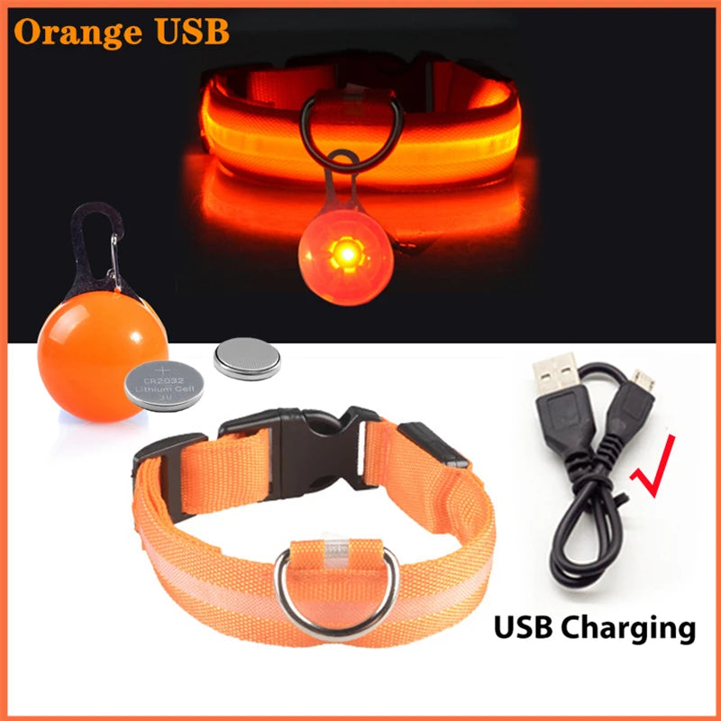 Usb Charging Glowing Dog Collar With Pendant Detachable Luxury Led Light Bright For Small Dogs Cat Night Safety Collar Wholesale Beauty World Shop