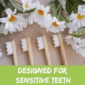 4Pcs  Bamboo Toothbrush Biodegradable20,000 High Bristle Count Toothbrush - Micro-Nano Extra Soft Bristles for Sensitive Teeth Beauty World Shop