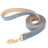 Blue Leash