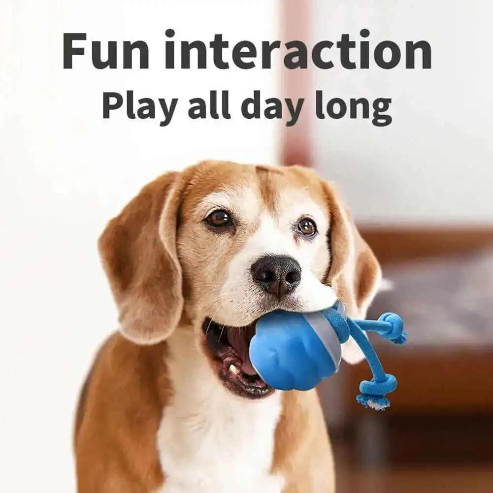 Interactive Dog Toys Smart Rolling Ball With Rope Motion Activated Automatic Moving Squeaky Dog Training Puppy Chew Toy Balls Beauty World Shop