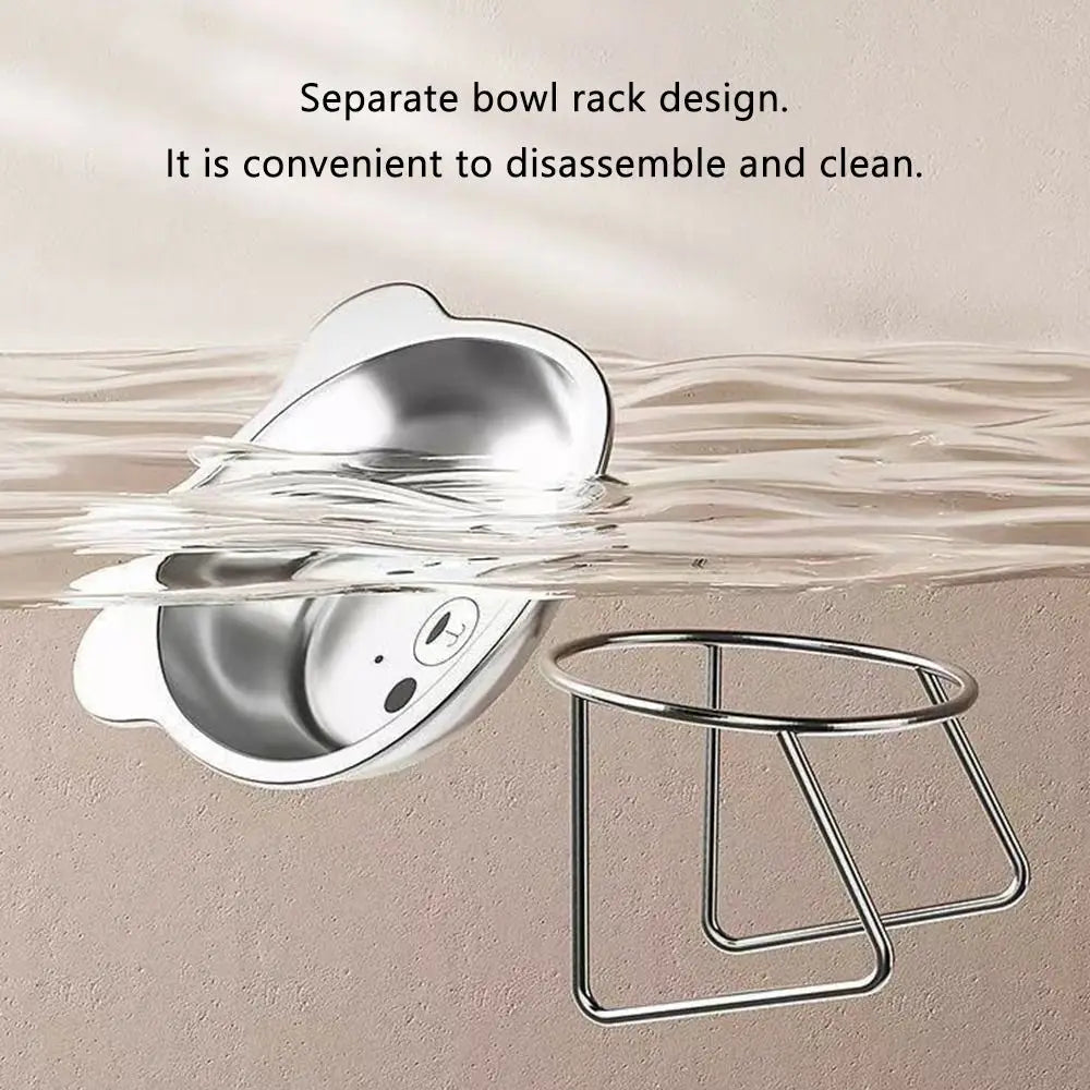 ‌304 Stainless Steel Raised Cat Bowl with 15° Elevated Design Tilted Neck Guard Healthy Feeding Shatterproof for Cats Puppies Beauty World Shop
