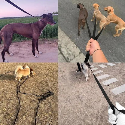 Long Strong Nylon Dog Leash 10m 15m 20m Pet Training Leash For Small Big Dogs Outdoor Walking Puppy Lead Rope Labrodor Supplies Beauty World Shop