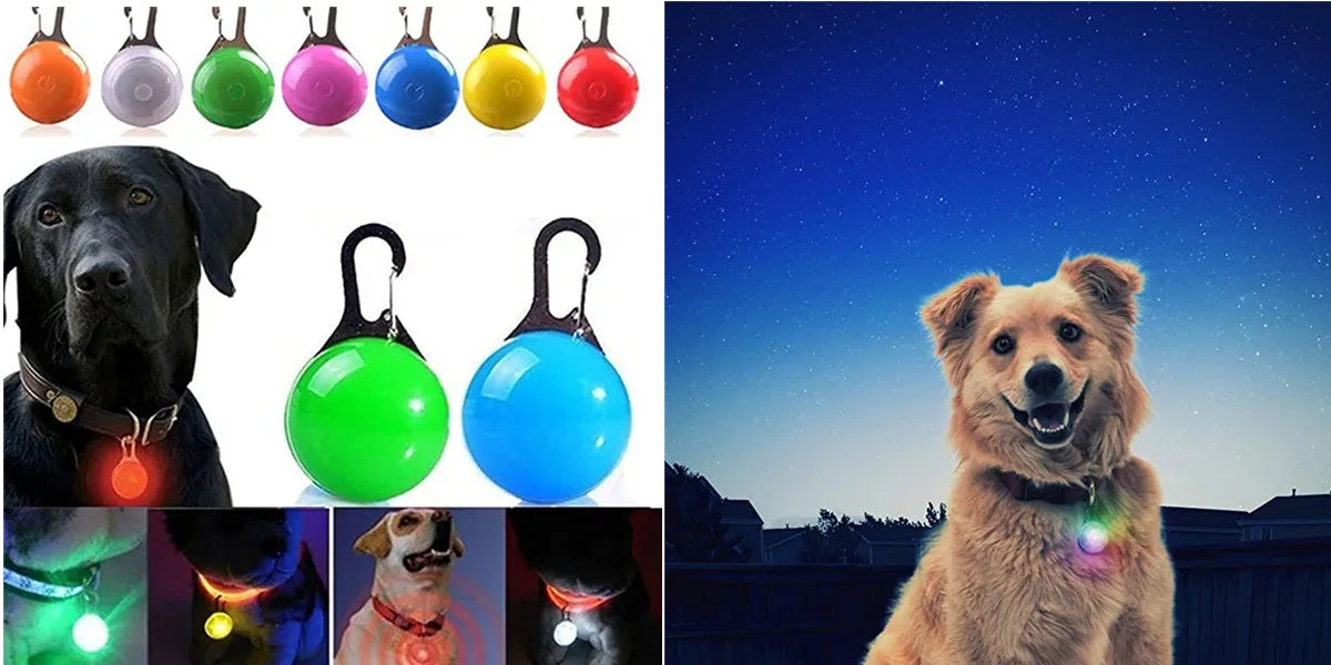 New Led Luminous Dog Collar PVC Waterproof , For Large Medium Small Dogs Collar Usb Light Night Safety Pet Glowing Accessories Beauty World Shop