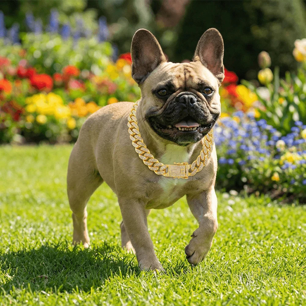 Luxury Hip Hop Dog Collar, Gold Tone Stainless Steel Cuban Chain, Durable Diamond Inlaid Pet Jewelry for Daily Walking Beauty World Shop