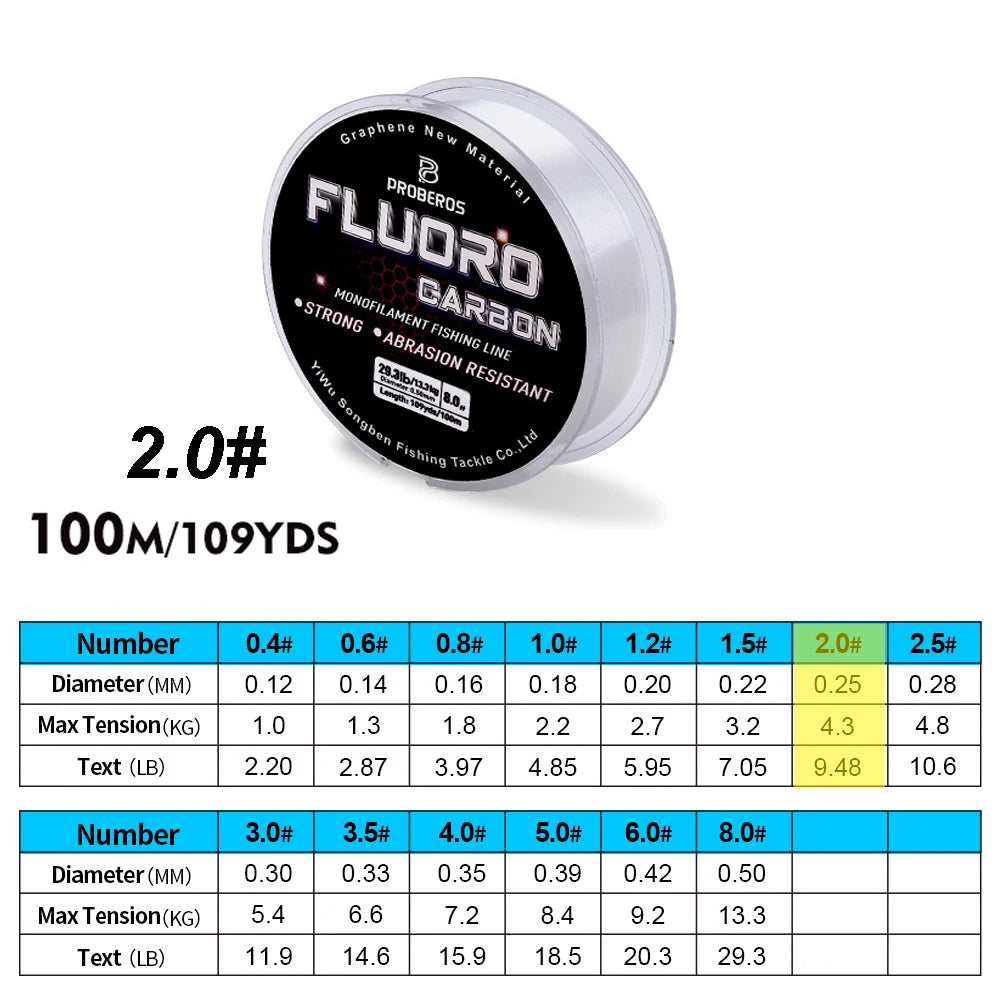 PROBEROS 100M Fluorocarbon Coating Fishing Line 2.2LB-29.3LB Carbon Fiber Monofilament Leader Line Carp Fishing Sinking Line Beauty World Shop