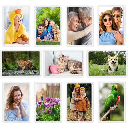 Small photo frame 12/20Pcs Blank Photo Frame Insert Fridge Magnets, Mini Magnetic Refrigerator Photo Picture Frames Beauty World Shop