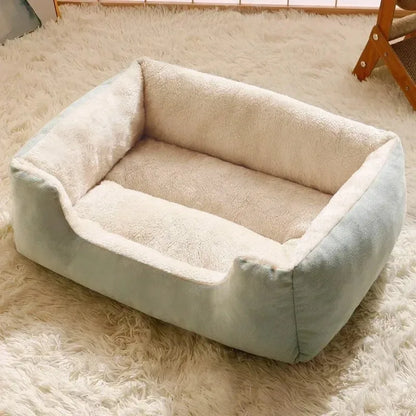 Bed for Cats Pet Products Cushions Kitten Goods Accessories Dog All Home Supplies Things Accessory Habitats Basket House Beds Beauty World Shop