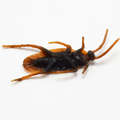 Special Lifelike Model Simulation Fake Rubber Cock Cockroach Roach Bug Roaches Toy Prank Funny Trick Joke Toys April Fools Prank Beauty World Shop