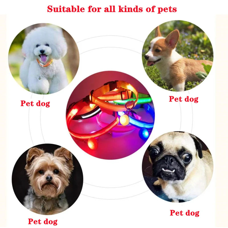 Usb Charging Glowing Dog Collar With Pendant Detachable Luxury Led Light Bright For Small Dogs Cat Night Safety Collar Wholesale Beauty World Shop