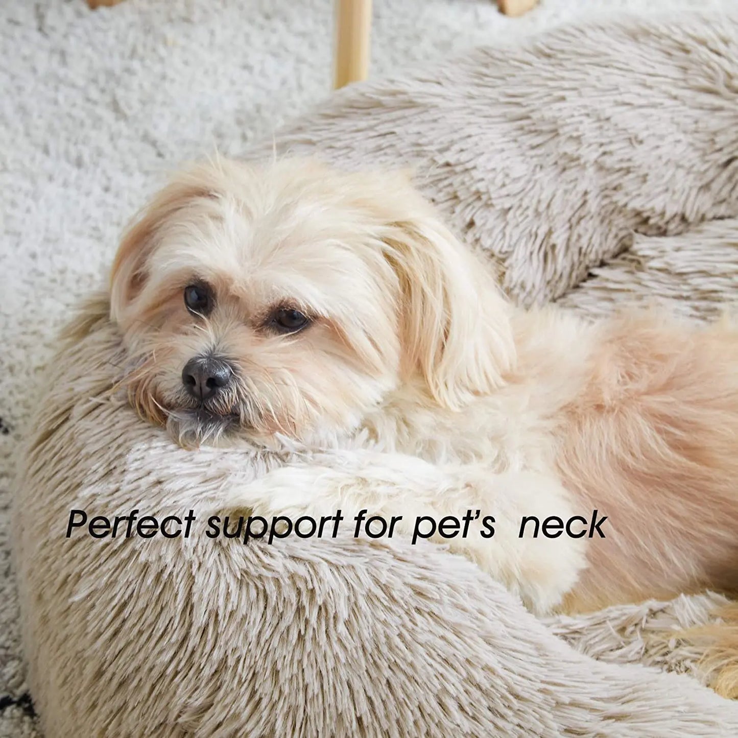 Super Cat Bed Warm Sleeping Cat Nest Soft Long Plush Best Pet Dog Bed for Dogs Basket Cushion Cat Bed Cat Mat Animals Sleeping Beauty World Shop