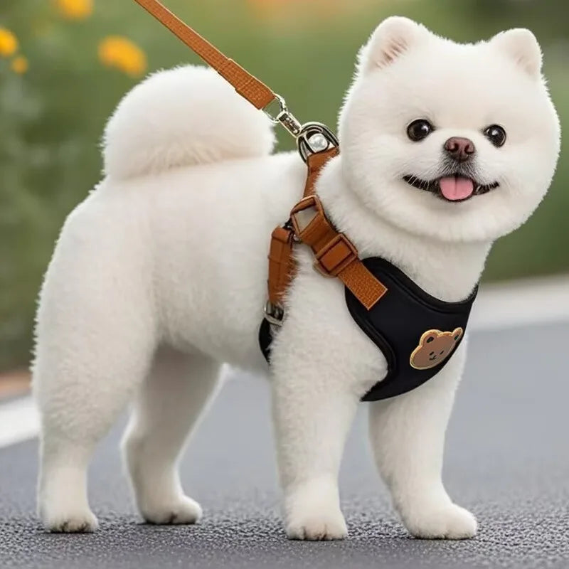 Pet Dog Harness Leash Set Small Medium Dog Cat Vest Breathable Puppy Chest Strap French Bulldog Chihuahua Harness Pet Supplies Beauty World Shop