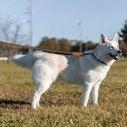 1.8M Large Dog Leash Waist Chain Traction For Running Walking Adjustment Simplicity Hands Free Dog Leash Leashes