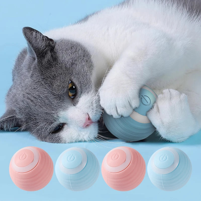 Automatic Moving Cats Toy Interactive Ball Rechargeable Rolling Electric Ball Home Pet  Accessories Things for  Supplies Beauty World Shop