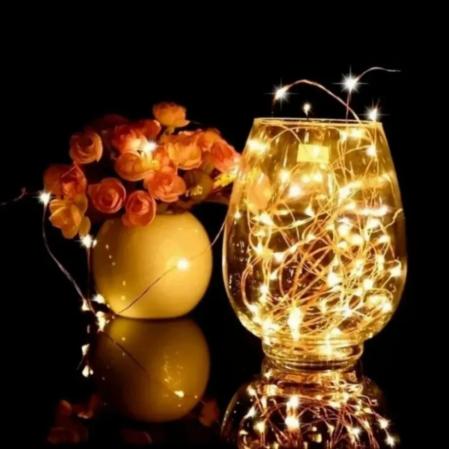 30M 10M Waterproof USB LED Lights String Copper Wire Fairy Garland Light Lamp Christmas Wedding Party Holiday Lighting wreath Beauty World Shop