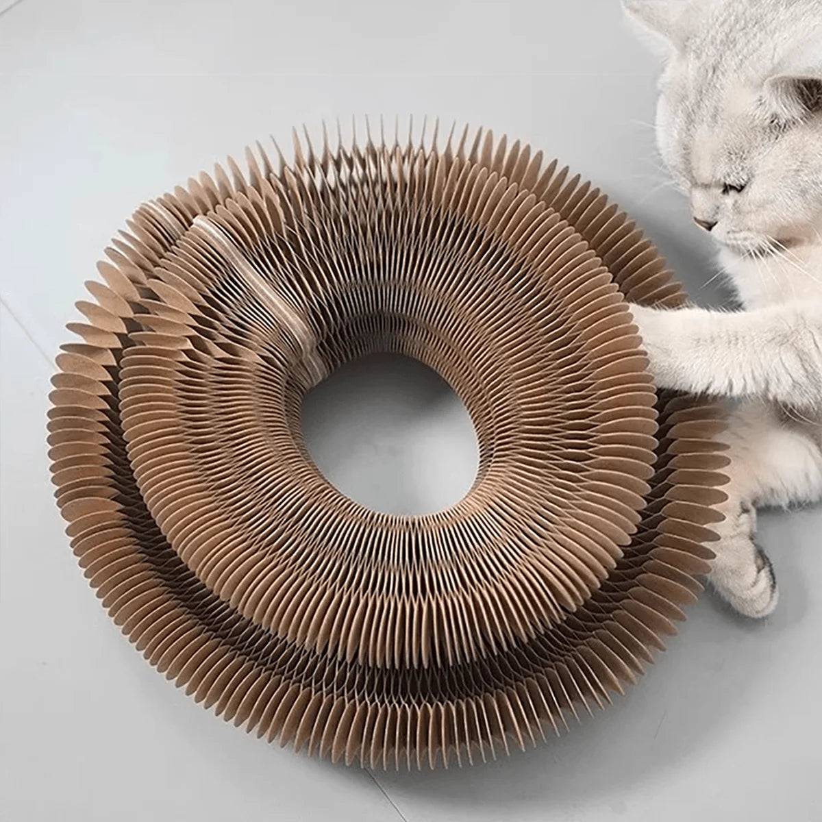 Foldable Cat Scratcher with Bell & Catnip - Multi-Level Cardboard Toy for Kittens, Durable Claw Sharpener Beauty World Shop