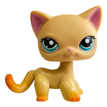 Rare pet toy Stands Short Hair Kitten Dog Dachshund Collie Spaniel Great Dane Original Bobble head toy lps Beauty World Shop