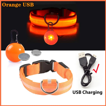 Usb Charging Glowing Dog Collar With Pendant Detachable Luxury Led Light Bright For Small Dogs Cat Night Safety Collar Wholesale Beauty World Shop