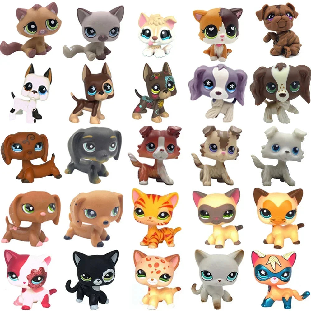 Rare pet toy Stands Short Hair Kitten Dog Dachshund Collie Spaniel Great Dane Original Bobble head toy lps Beauty World Shop