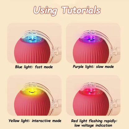 Hot cat toys are automatically teasing cat balls and self-exciting cat sticks and ticks and resistant to wear and bite pet toys Beauty World Shop