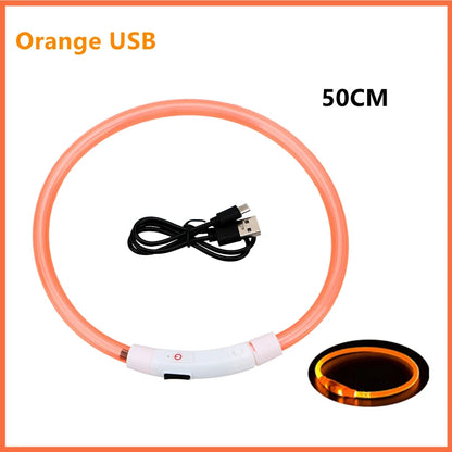 USB Rechargeable Luminous Collar Adjustable Led Glowing Dog Collar for Large Small Dogs Cat Night Light Collar Pet Safety Harnes Beauty World Shop