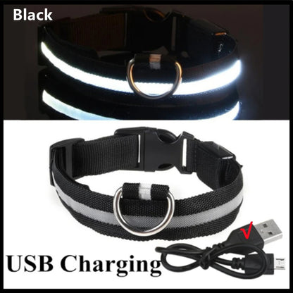 USB Rechargeable Luminous Collar Adjustable Led Glowing Dog Collar for Large Small Dogs Cat Night Light Collar Pet Safety Harnes Beauty World Shop