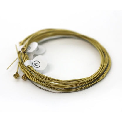 ZIKO DAG-010 6Pcs/Set Acoustic Guitar Strings Steel Core Copper Wound Guitarra Strings Acoustic Guitar Parts & Accessories Beauty World Shop