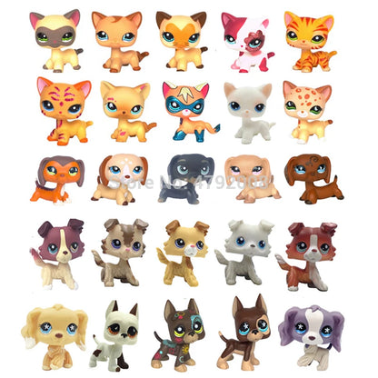 Rare pet toy Stands Short Hair Kitten Dog Dachshund Collie Spaniel Great Dane Original Bobble head toy lps Beauty World Shop